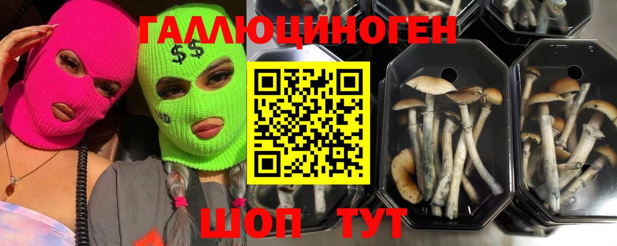 Псилоцибиновые грибы прущие грибы Котовск