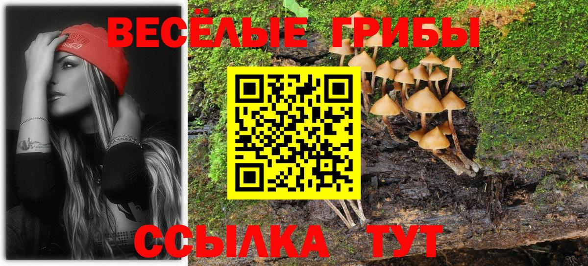 Псилоцибиновые грибы мицелий  Вход с VPN  Галлюциногенные грибы мицелий  Котовск 
